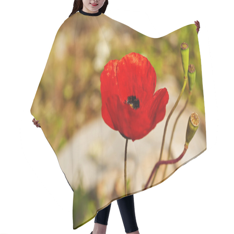 Personality  Poppy Flower Hair Cutting Cape