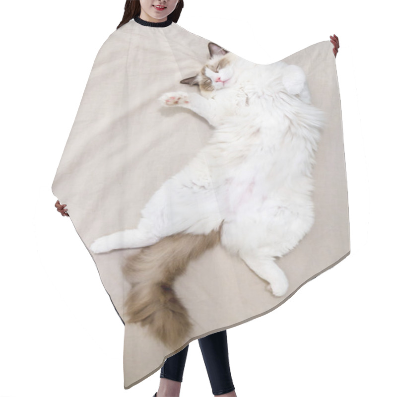 Personality  Graceful Sleeping Kitten Hair Cutting Cape