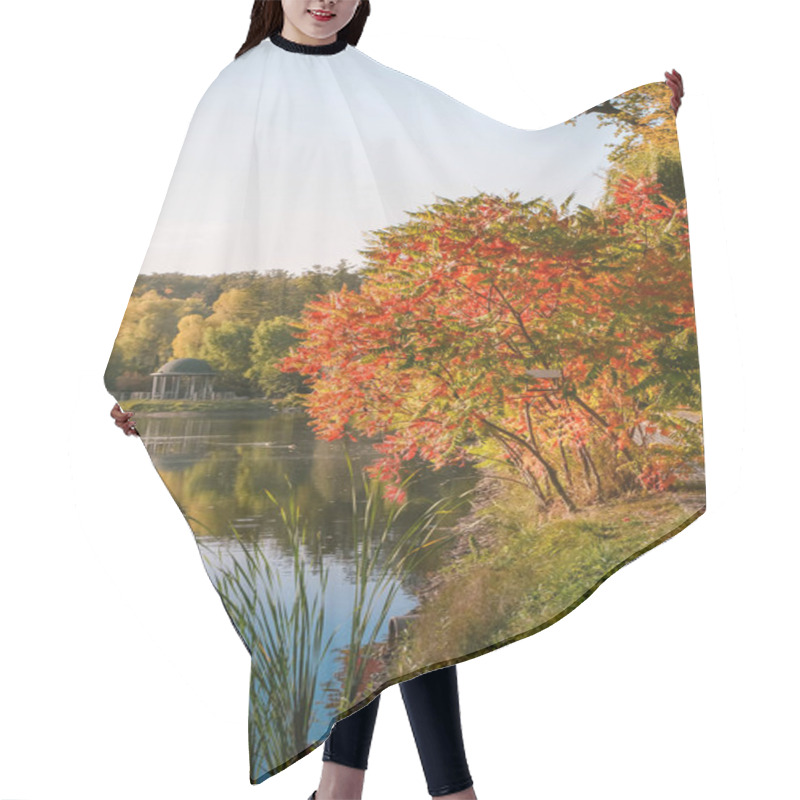 Personality  Autumn Foliage, Maple Tree Branches Against Lake And Sky. Sunny Day In Park. Hair Cutting Cape