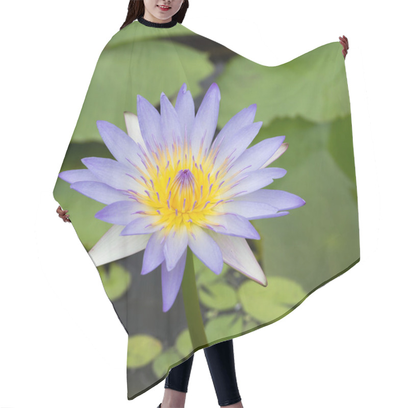 Personality  Lotus Flower Hair Cutting Cape