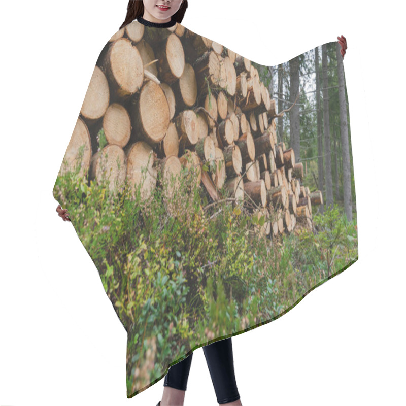 Personality  Worms Eye View Of A Woodpile On The Ground In A Forest Hair Cutting Cape