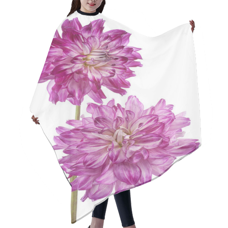 Personality  Dahlia Hair Cutting Cape