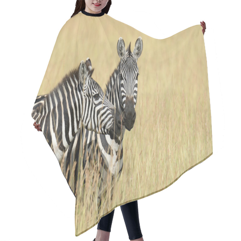 Personality  Zebra Hair Cutting Cape