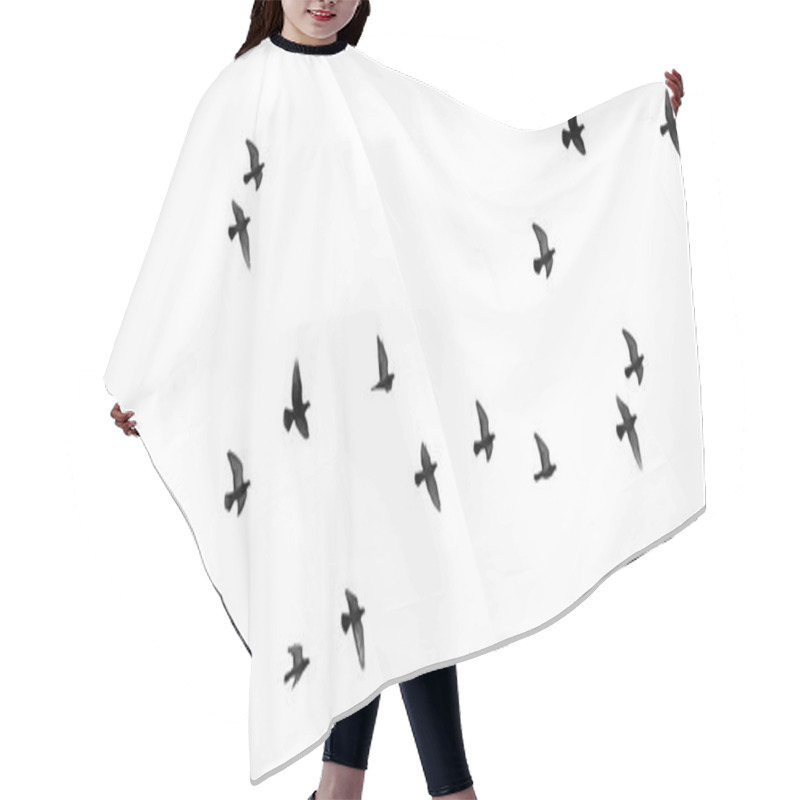 Personality  Flock Of Pigeons On A White Background Hair Cutting Cape