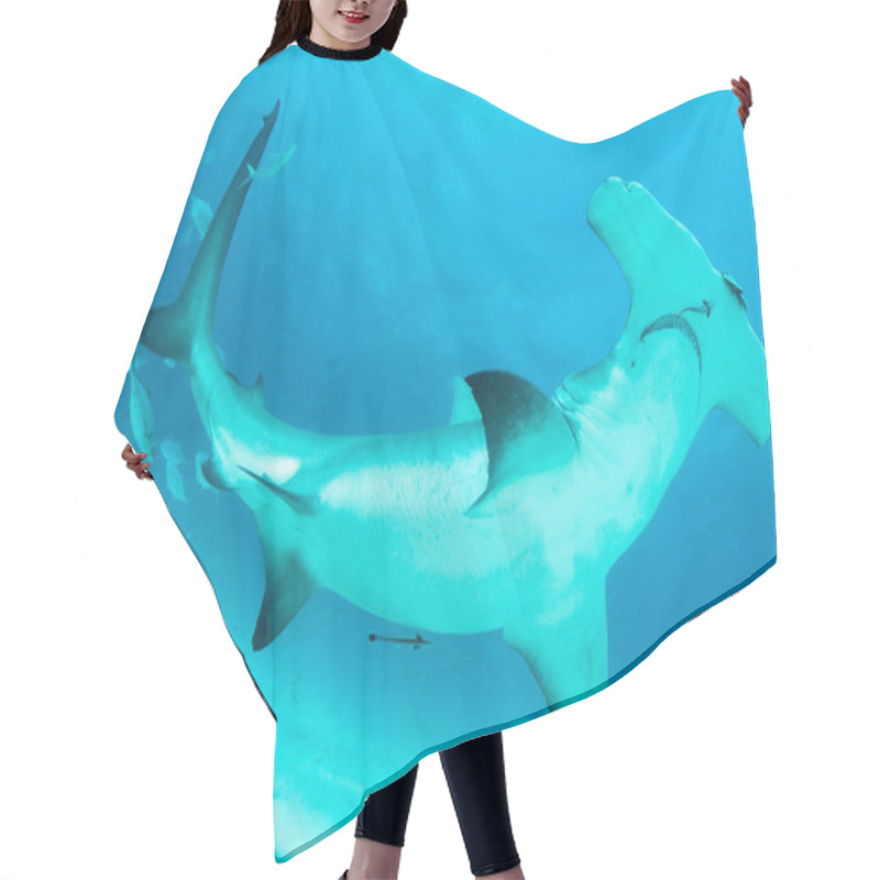 Personality  Hammerhead Shark In Bahamas Hair Cutting Cape