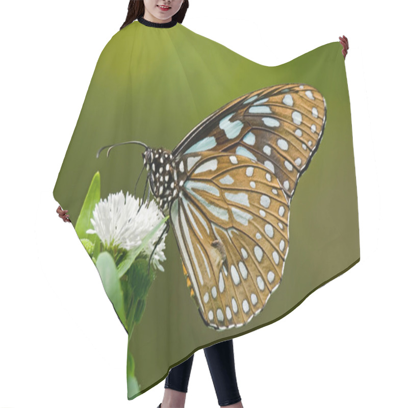 Personality  Milkweed Butterfly Hair Cutting Cape