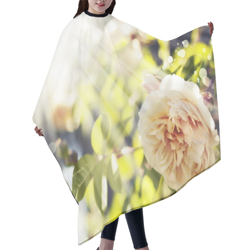 Personality  Yellow Roses Hair Cutting Cape