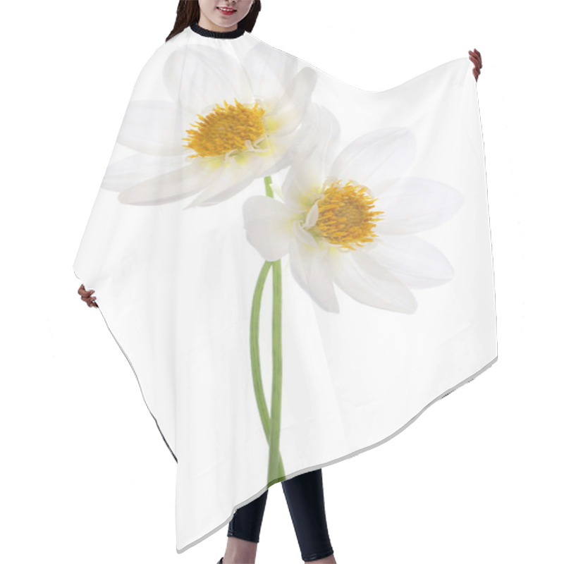 Personality  Dahlia Flowers Hair Cutting Cape