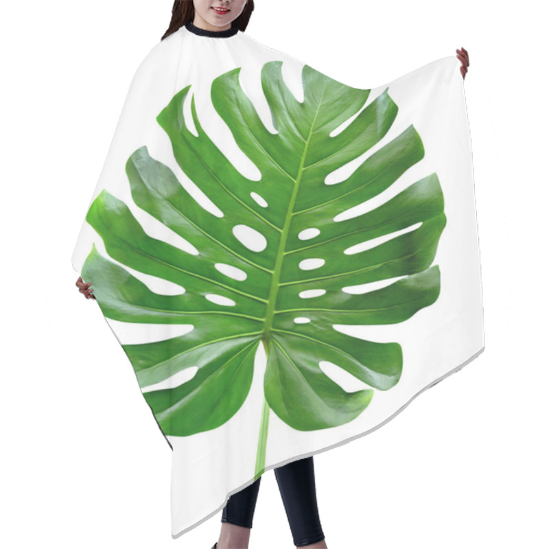 Personality  Green Leaves Pattern,leaf Monstera Isolated On White Background,include Clipping Path Hair Cutting Cape