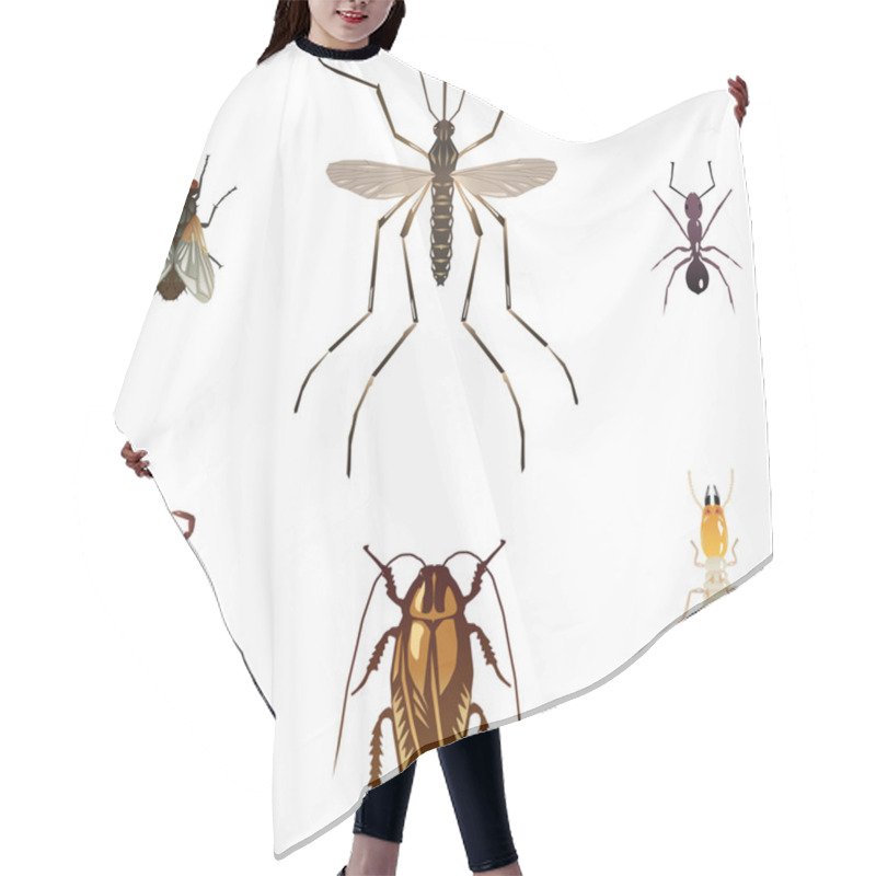 Personality  Six Vector Illustrations Of Pest Insects Hair Cutting Cape