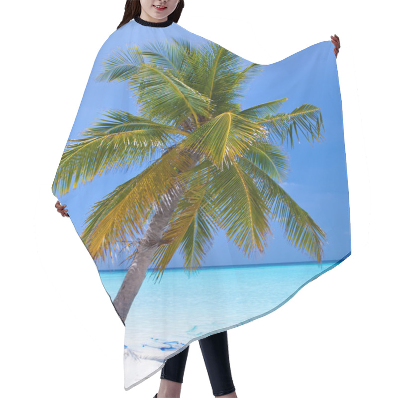 Personality  Palm Trees On Tropical Island Hair Cutting Cape