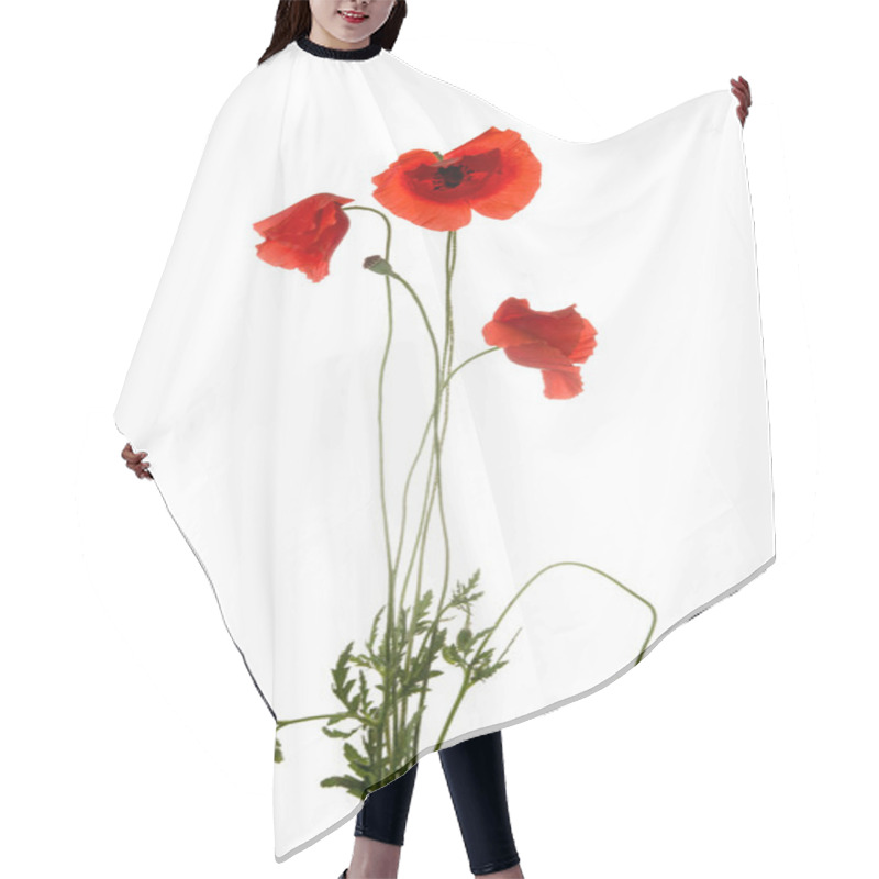 Personality  Poppy Flowers Hair Cutting Cape