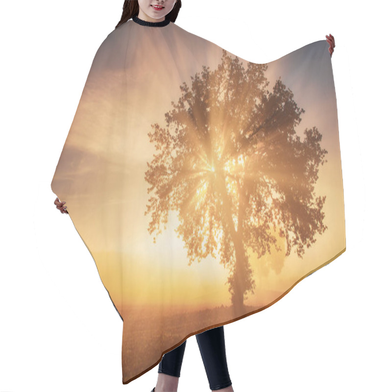 Personality  Single Tree In The Fog Hair Cutting Cape