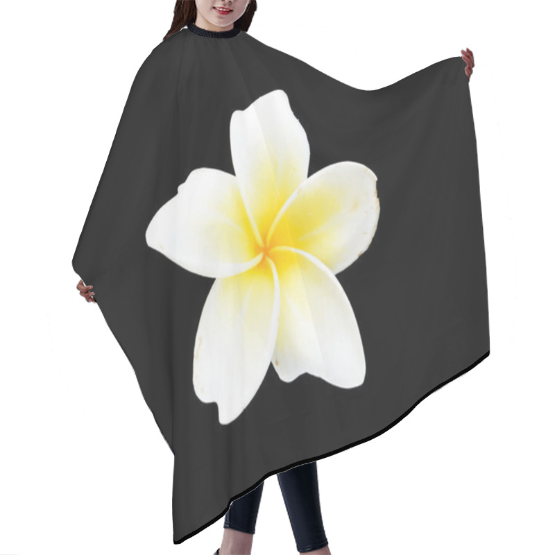 Personality  Plumeria Flower Hair Cutting Cape