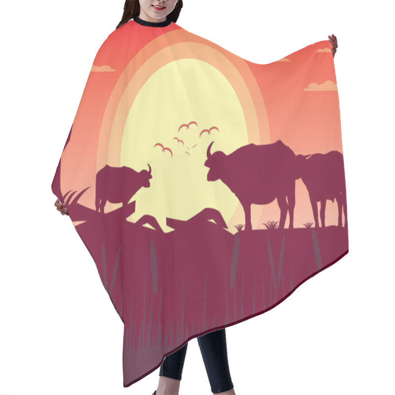 Personality  Buffalo Sunset Evening And Grassland Meadow Landscape.vector Illustrator Hair Cutting Cape