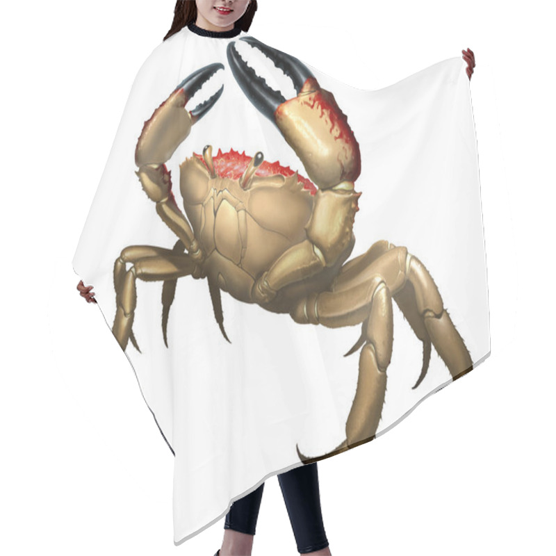 Personality  Giant Crab Monster. Rab Big Red Attacks Aggressively By Lifting Its Claws Upward. King Crab Running Along The Beach Realism Illustration Isolate.  Hair Cutting Cape