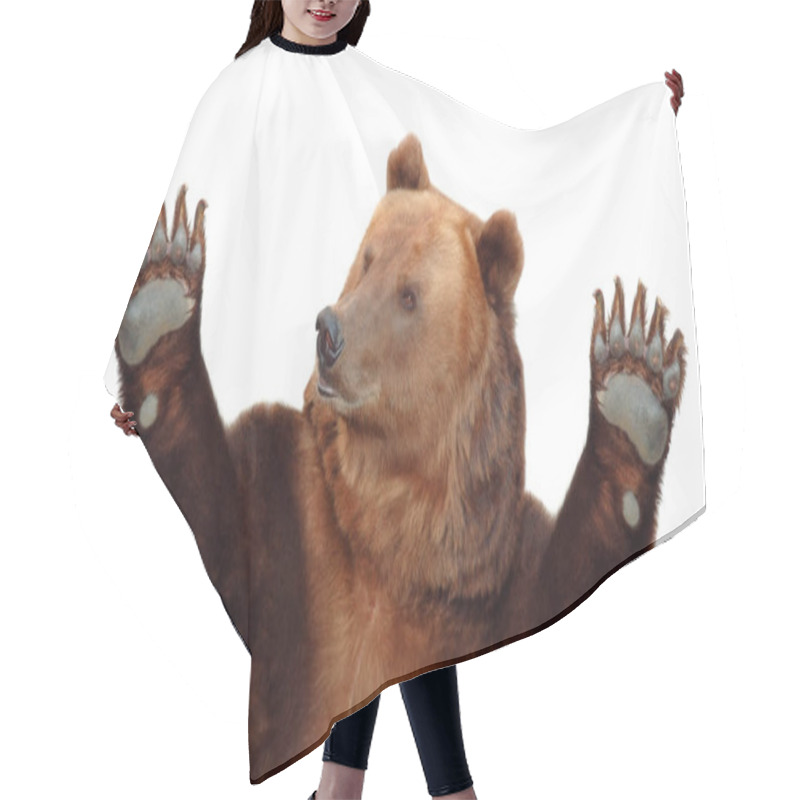 Personality  Bear With Paws Isolated On A White Background Hair Cutting Cape