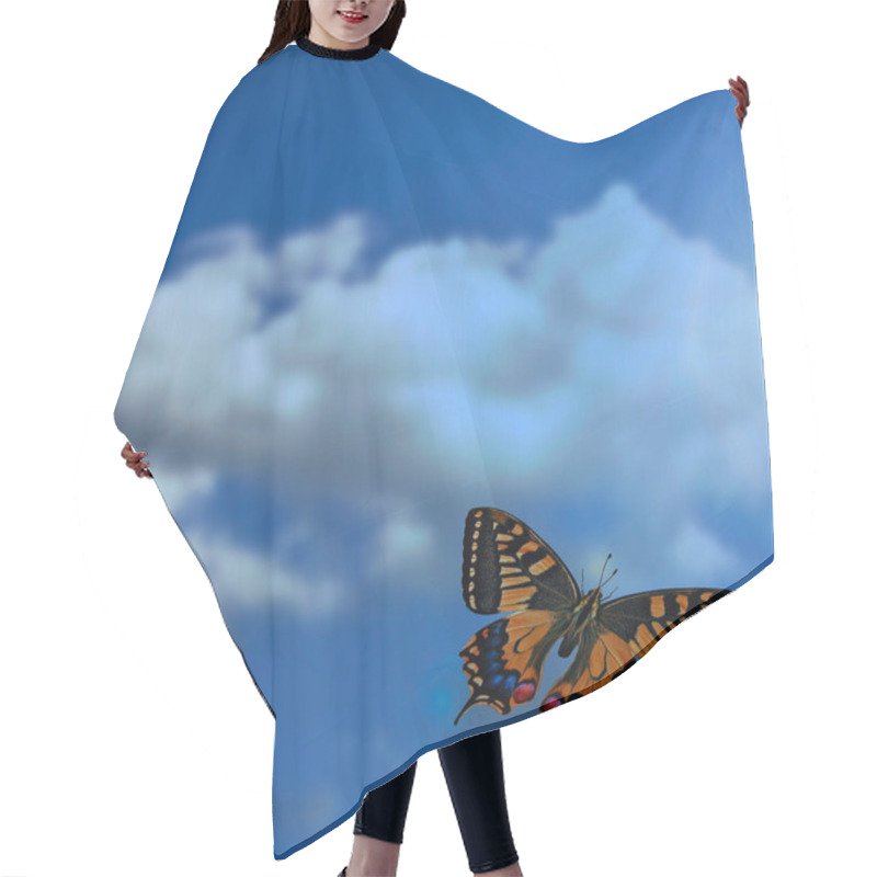 Personality  Butterfly Flying Free On A Cloudy And Clear Day Hair Cutting Cape