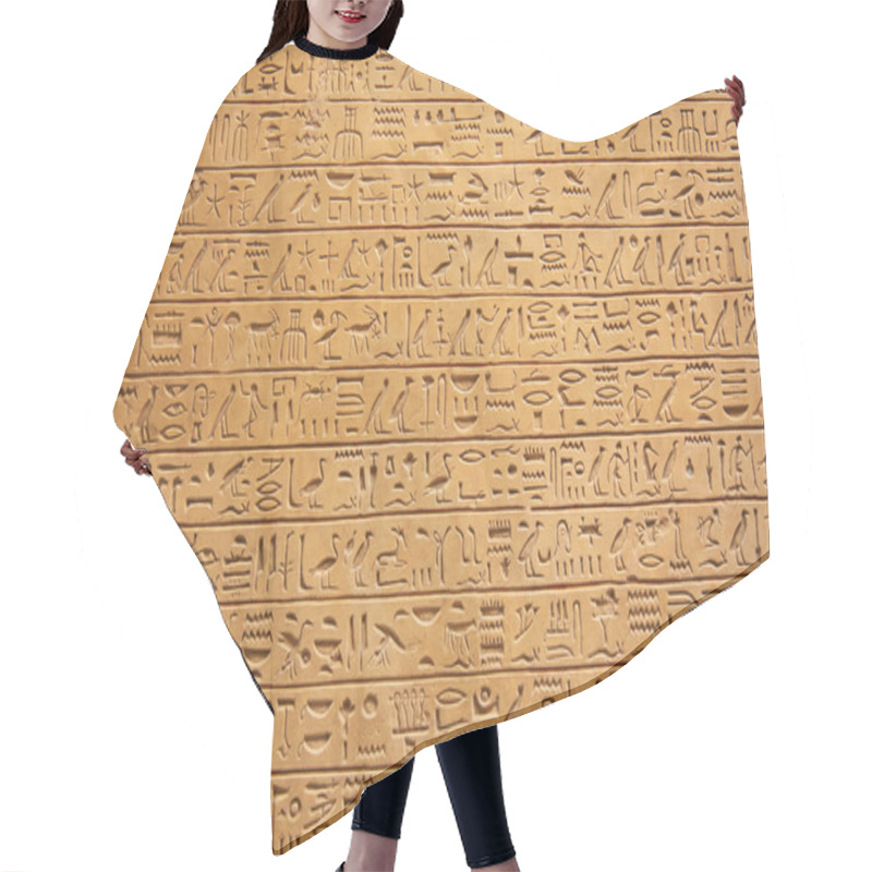 Personality  Egyptian Hieroglyphs On The Wall  Hair Cutting Cape