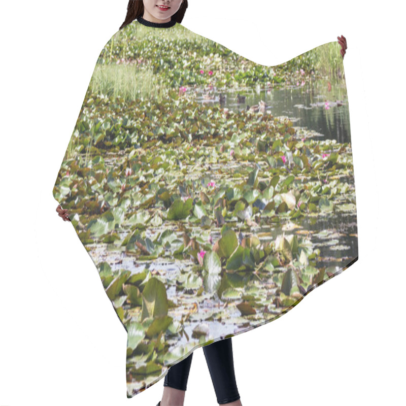 Personality  Pink Water Lily Flowers In Water Garden Hair Cutting Cape