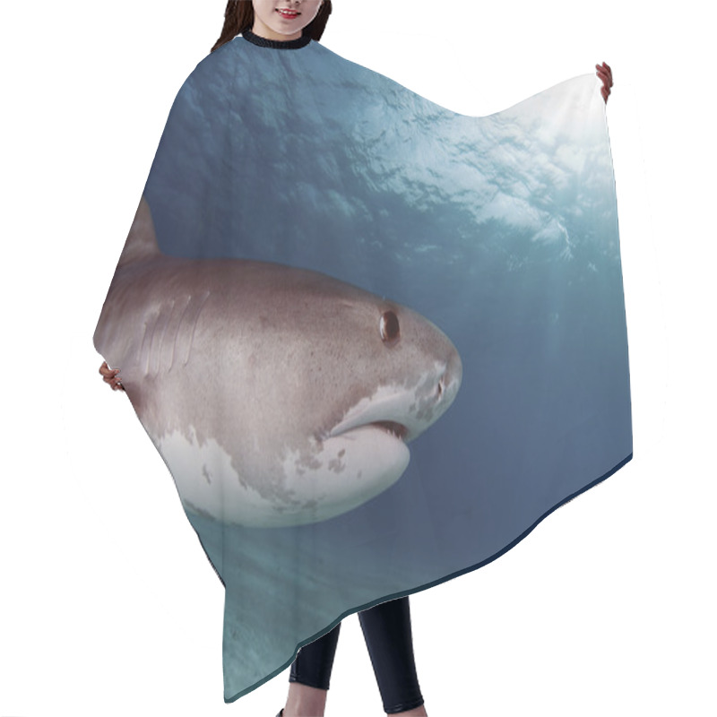 Personality  Tiger Shark Hair Cutting Cape