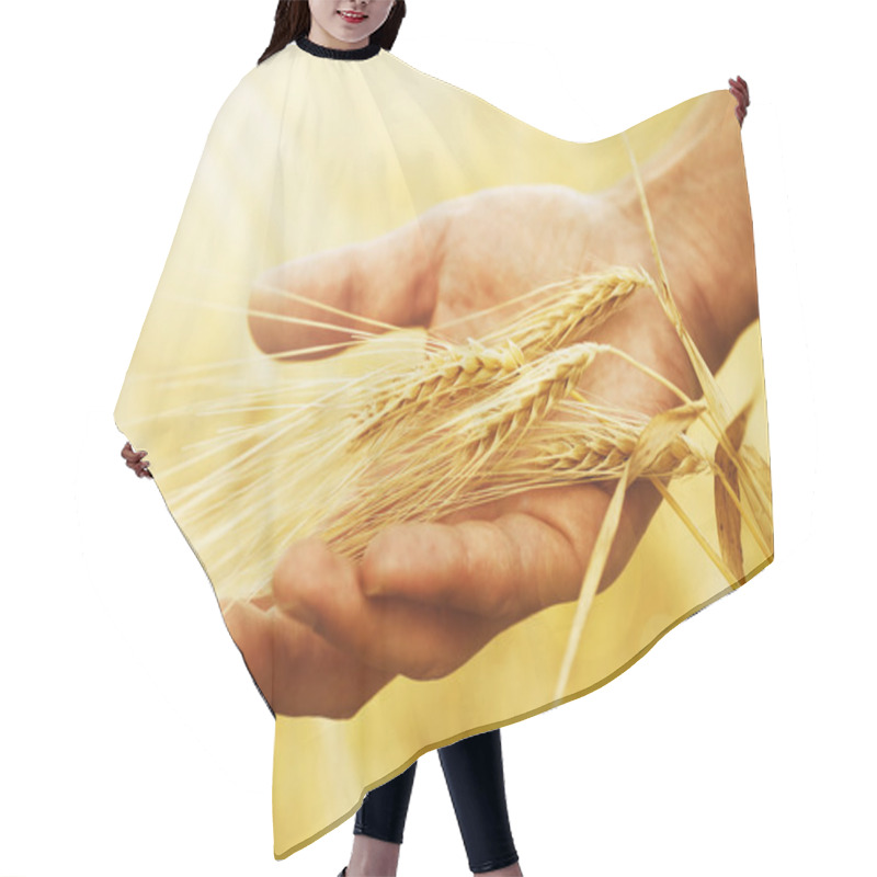 Personality  Wheat Ears In The Hand. Harvest Concept Hair Cutting Cape