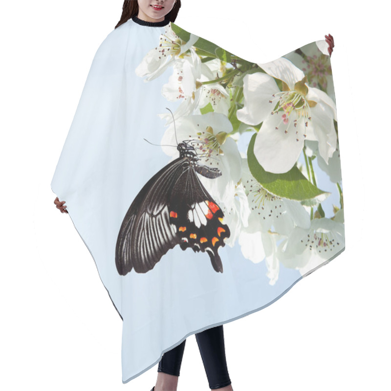 Personality  Butterfly On White Flowers Hair Cutting Cape