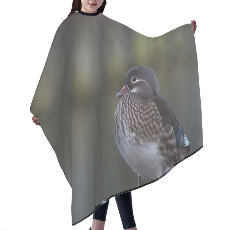 Personality  Female Mandarin Duck Hair Cutting Cape