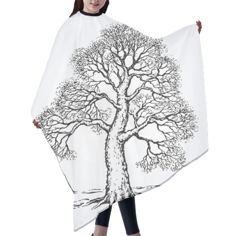 Personality  Tall Oak In Winter. Vector Drawing Hair Cutting Cape