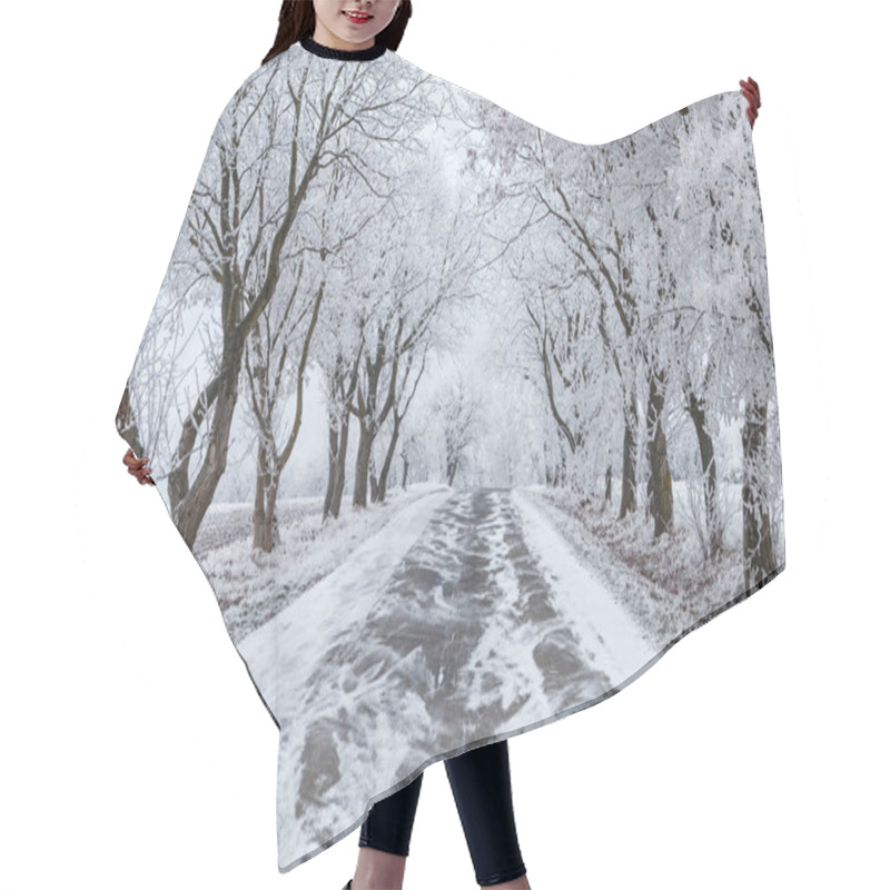 Personality  Frozen Trees And Gray Winter Urban Road Hair Cutting Cape