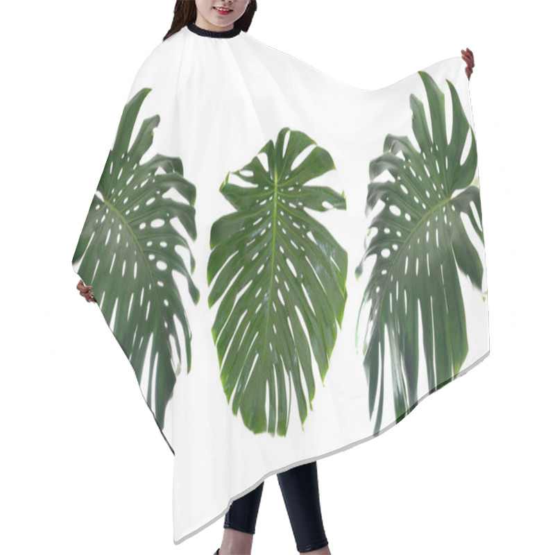 Personality  Tropical Leaves On White   Hair Cutting Cape