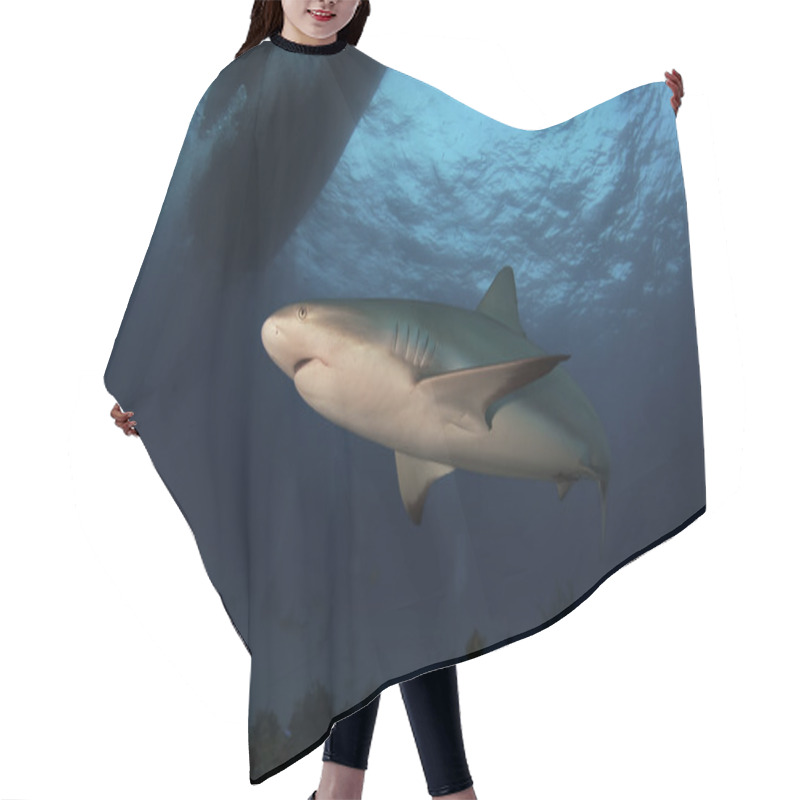 Personality  Reef Shark Hair Cutting Cape