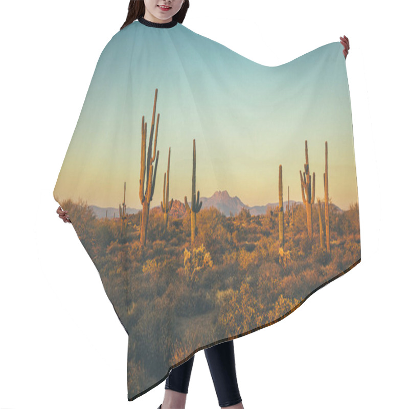 Personality  Cactuses In The Arizona Mountains Hair Cutting Cape