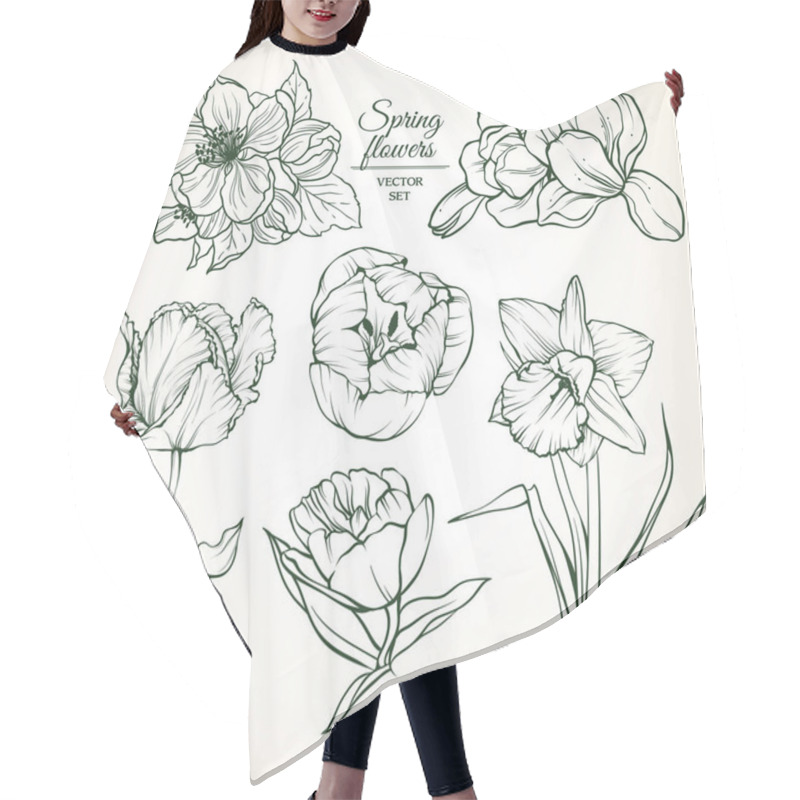 Personality  Set Of Spring Flowers Magnolia Tulip Daffodil Blossom. Sketch Vector Illustration. Hair Cutting Cape