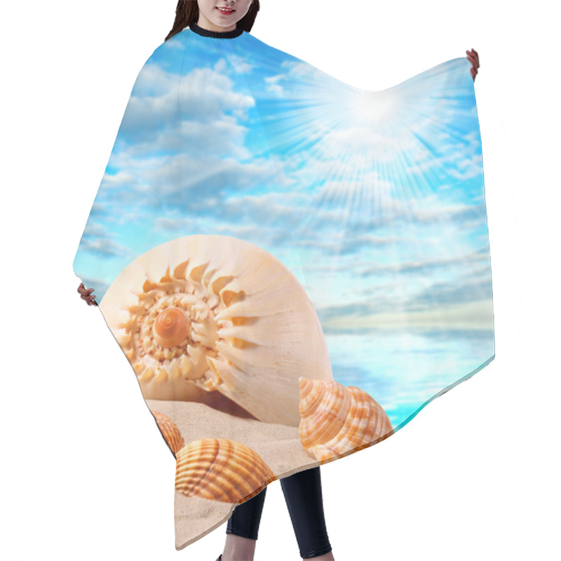 Personality  A Conch Shell On An Tropical Beach. Hair Cutting Cape