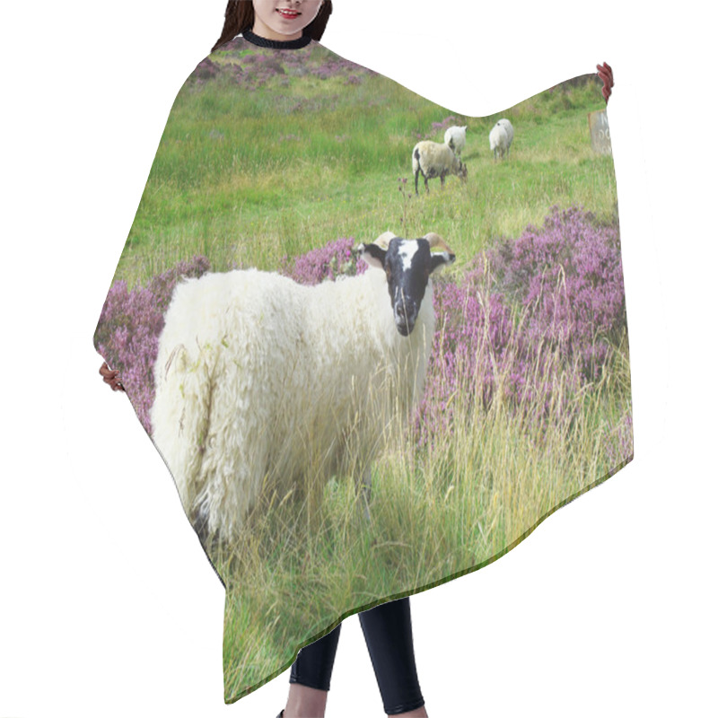 Personality  Sheep In The Scottish Highlands Hair Cutting Cape