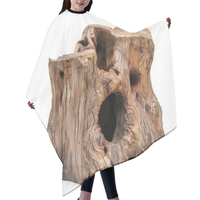 Personality  Unique Wooden Stump Sculpture Showcasing Intricate Textures And Natural Imperfections. Hair Cutting Cape