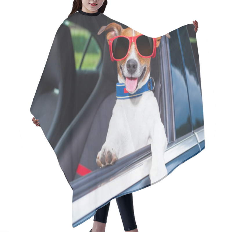 Personality  Dog Window Car Hair Cutting Cape