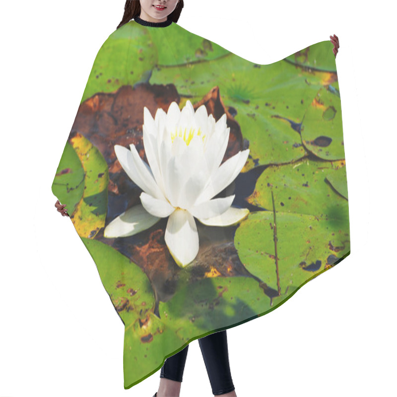 Personality  White Water Lily Surrounded By Lily Pads Hair Cutting Cape