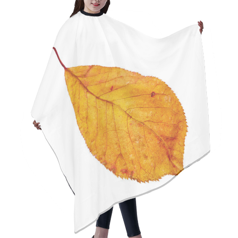 Personality  Autumn Leaf Hair Cutting Cape