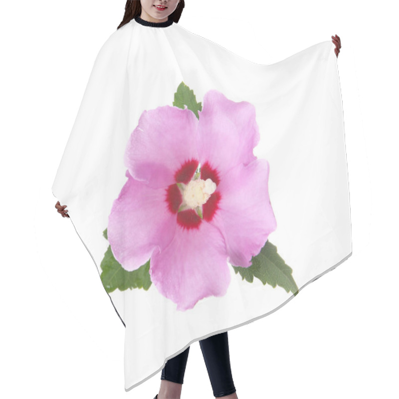 Personality  Beautiful Tropical Hibiscus Flower On White Background Hair Cutting Cape