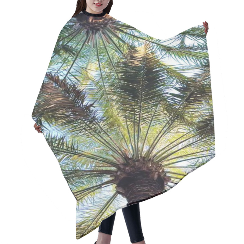 Personality  Vertical Screen: Palm Fronds Create Patterns Beneath Sunlight, Symbolizing Palm Harmony, Balance. Radiant Light Highlights Natural Connections, Showcasing Palm Beauty ,symmetry. Desert Palm Theme Hair Cutting Cape