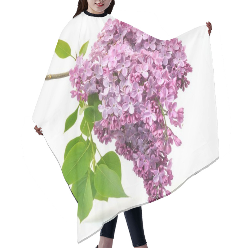 Personality  An Lilac Purple Blossoms Hair Cutting Cape