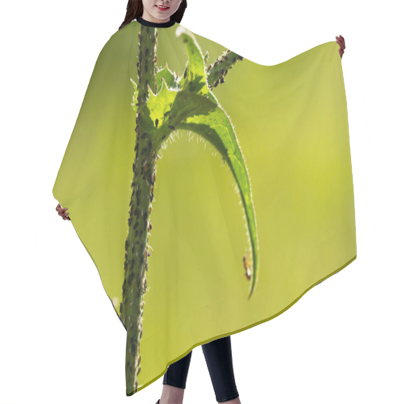 Personality  Insects In The Plants Hair Cutting Cape