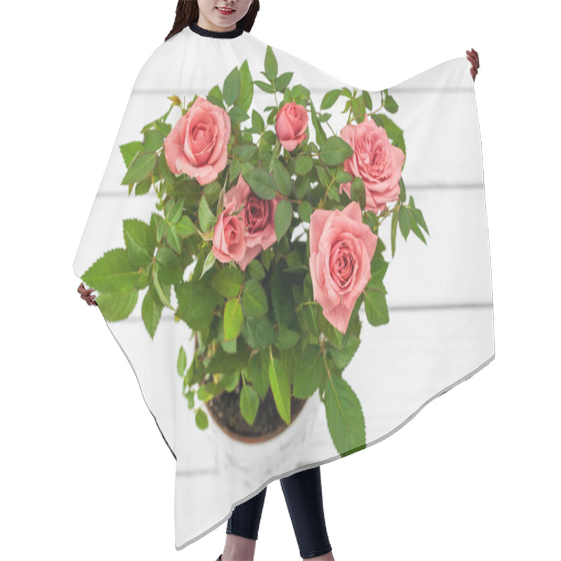 Personality  Roses In Flowerpot  Hair Cutting Cape