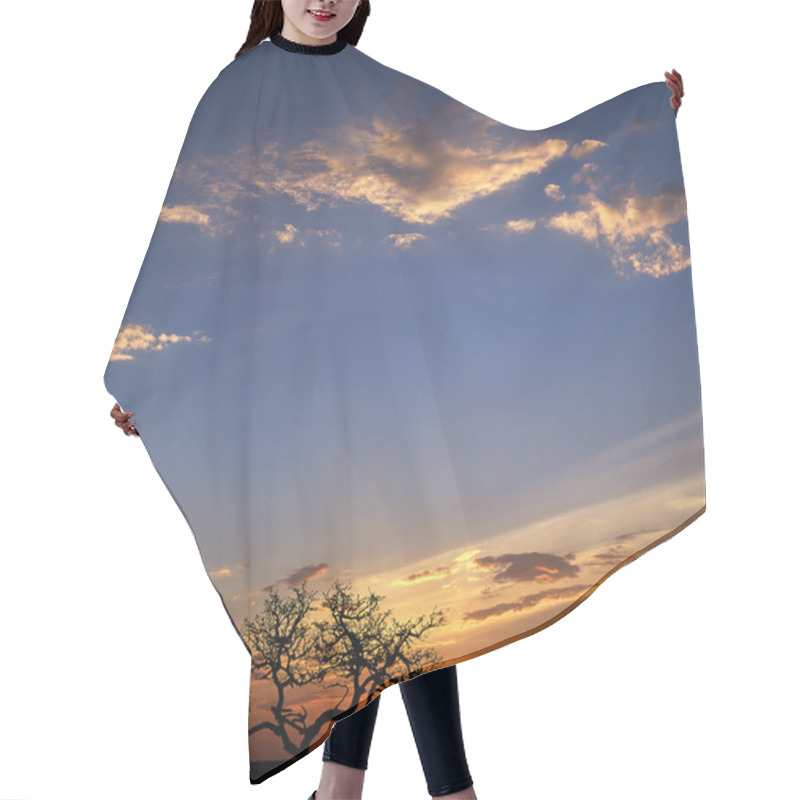 Personality  Sunset In Namibian Savannah Hair Cutting Cape