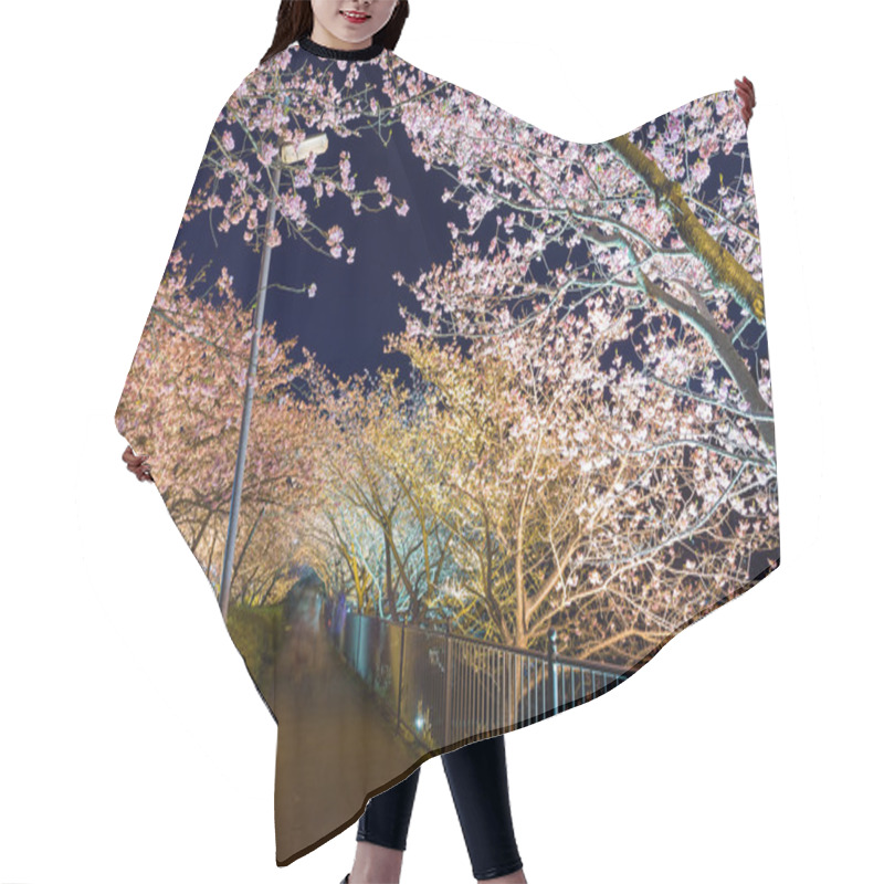 Personality  Cherry Blossoms At Night  Hair Cutting Cape