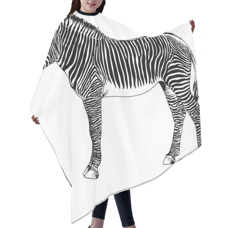 Personality  Zebra Drawn With Ink Pop Art Vector Hair Cutting Cape