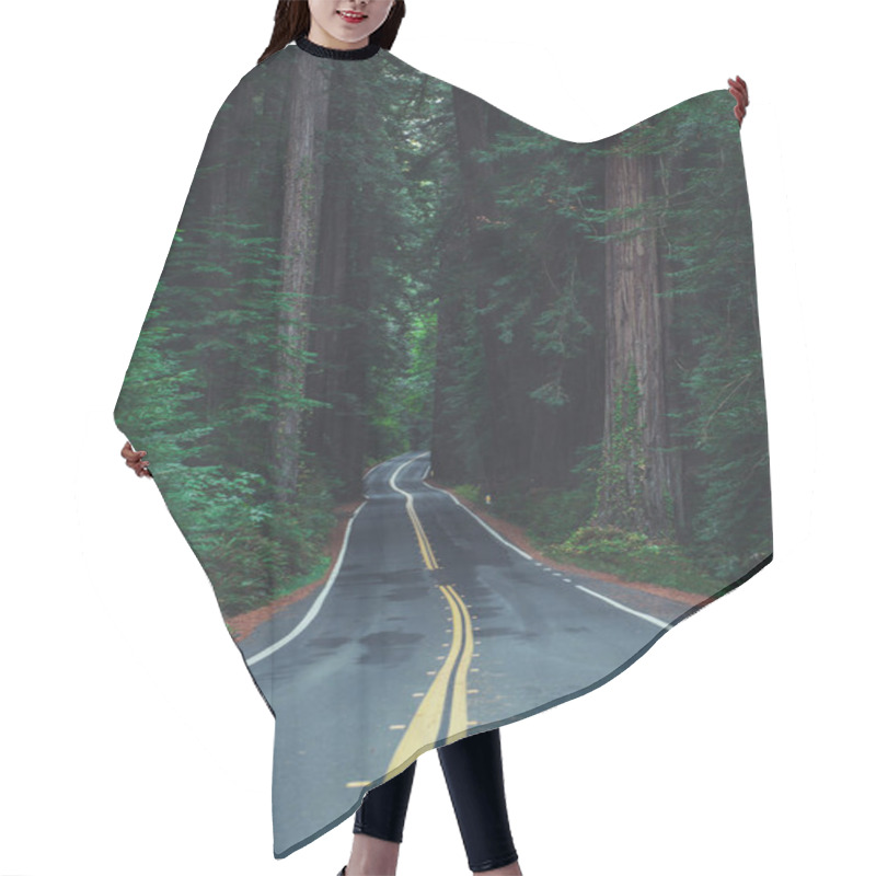 Personality  Famous California Redwood Highway Vertical Photo. Ancient Woodland. Eureka, CA United States Of America. Hair Cutting Cape