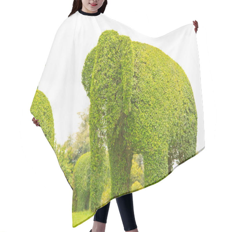 Personality  Elephan Hair Cutting Cape